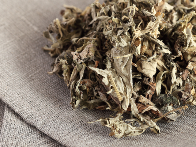 よもぎ蒸しに使用する乾燥したよもぎの画像